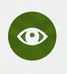 Ein einfaches, grünes Auge-Symbol auf einem hellen Hintergrund.